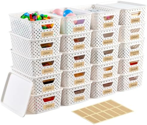 20 Pack Small Plastic Storage Bins with Lids, Stackable Plastic Storage Baskets for Organizing with Handles, Organizer Bins with Labels for Room, Craft, Containers for Pantry Organizers and Storage by Unknown