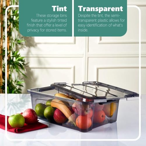 Tribello 12.5 Quart Storage Bins with Lids, Plastic Storage Containers with Latching Lids For Organizing - Tinted - (15.5’ x 12” x 6”) - Set of 2 - Made in EU - Image 3