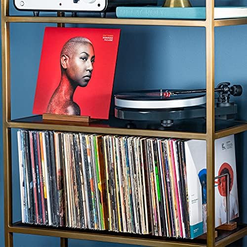 Optage Audio Extended Vinyl Record Storage, 100-150 LP, Solid Walnut Base - Image 4