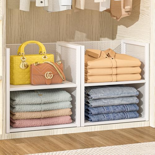 2-Tier Stackable Closet Organizers and Storage Basket, Wire Clothes Shelf Organizer Bins, Sweater Storage for Wardrobe Cupboard, Multifunctional Cube Storage Box for Kitchen Bath Laundry Room, White by DAOUTIME