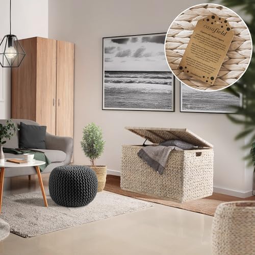 Casafield 30" Storage Chest with Lid, Handles, and Safety Hinge - Whitewash White, Hyacinth Wicker Storage Trunk for Entry Way, Living Room, Bedroom - Image 2