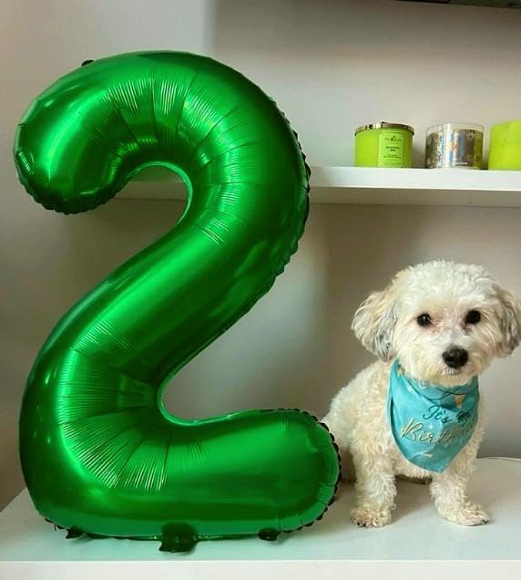 40 Inch Big Green 9 Balloon Number, Jumbo Giant Happy 9th 19 29 39 49 99 Birthday Party Decorations, Large Nine Mylar Foil Anniversary Birthday Party Engagement Decorations