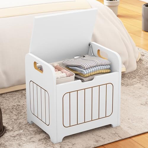 Aenuert Storage Chests, Small Cube Organizer Box,Wooden Entryway Storage (White, With Handle) by Aenuert
