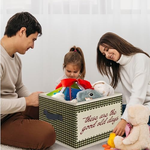 Inspirational These Are the Good Old Days Foldable Storage Bins Box with Handles, Green Gingham Plaid Motivational Collapsible Toys Books Clothes Organizer Basket for Kids Bedroom Bathroom - Image 4