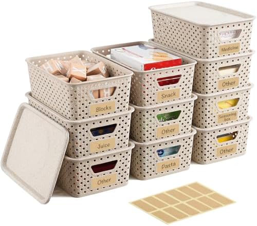 10 Pack Small Plastic Storage Bins with Lids, Stackable Plastic Storage Baskets for Organizing with Handles, Organizer Bins with Labels for Room, Craft, Containers for Pantry Organizers and Storage by Unknown