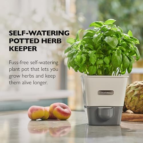 Cole & Mason Self-Water Herb Keeper - Potted Herb Saver with Hydro Pad & Pour Spout - Fresh Herb Keeper for Refrigerator - Herb Storage & Container - Image 2