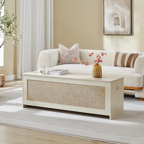51.2" Storage Chest Large,Wooden Rattan Storage Bench.(White Cream) by ZenFang