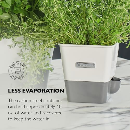 Cole and Mason Self-Watering Herb Keeper, Fresh Preservation, White, 2 Pack - Image 4