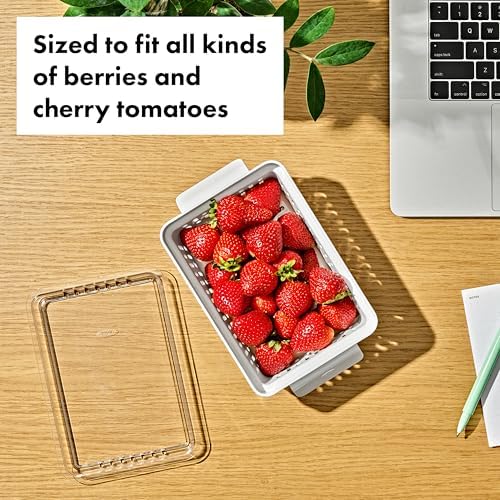 OXO Good Grips Produce Saver - Berry Keeper, 2-Piece Set - Image 4