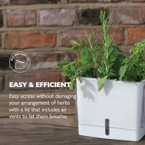Cole & Mason Herb Storage Container for Refrigerator, Fresh Herb Keeper - Image 3