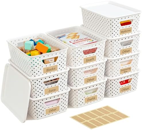10 Pack Small Plastic Storage Bins with Lids, Stackable Plastic Storage Baskets for Organizing with Handles, Organizer Bins with Labels for Room, Craft, Containers for Pantry Organizers and Storage by Unknown