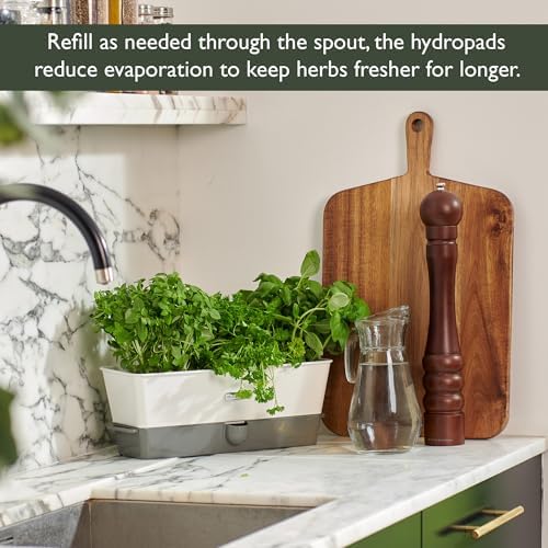 Cole & Mason Burwell Self-Watering Potted Herb Keeper - Image 6