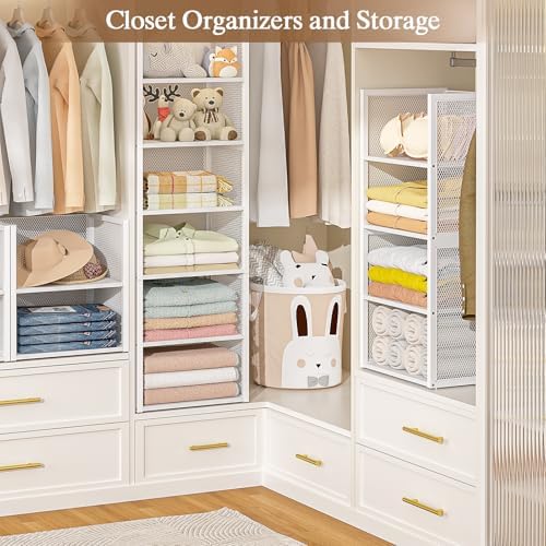 2-Tier Stackable Closet Organizers and Storage Basket, Wire Clothes Shelf Organizer Bins, Sweater Storage for Wardrobe Cupboard, Multifunctional Cube Storage Box for Kitchen Bath Laundry Room, White - Image 3