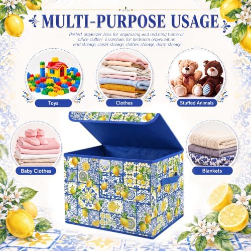 Briwooody Capri Lemon Storage Bin with Lid and Carrying Handle Lemon Basket - Image 5