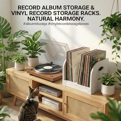 Vinyl Record Storage Rack for 65 LPs, Vinyl Record Album Holder Heavy-Duty Record Storage Shelf with Handles, Record Holder, Multi-Purpose Organizer - Image 7