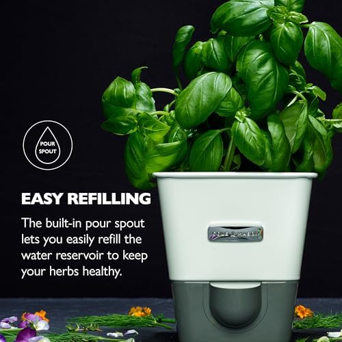 Cole and Mason Self-Watering Herb Keeper, Fresh Preservation, White, 2 Pack - Image 5
