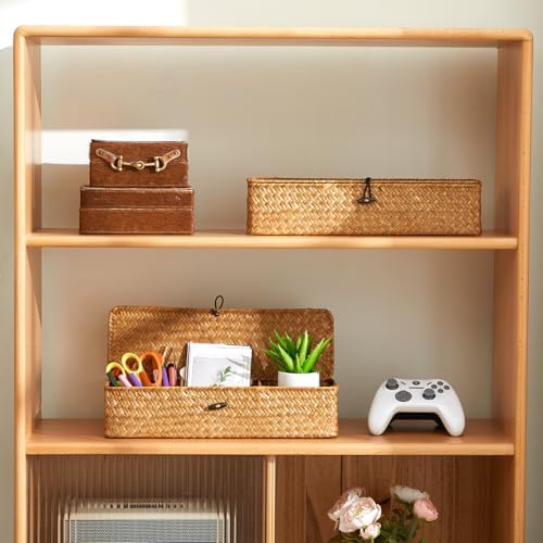 Nonam 3-Section Divided Storage Small Basket with Lid,Shelf Basket-Natural - Image 4