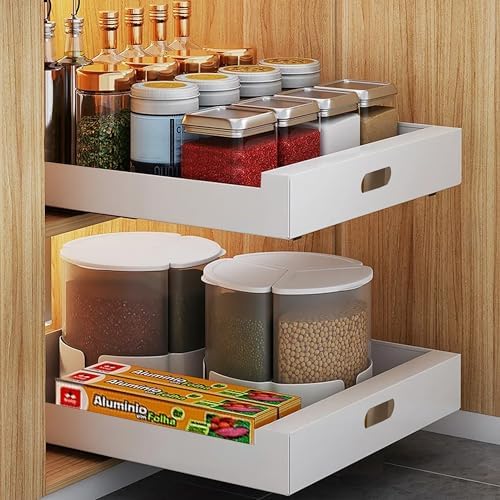bealy 2 Pack Pull Out Cabinet Organizer Adhesive, 10" Wide 16.9" Deep Pull out Drawers for Face Frame or Frameless Cabinets, No Drill Heavy Duty Carbon Steel Drawer, Pantry Cabinet Shelf by bealy