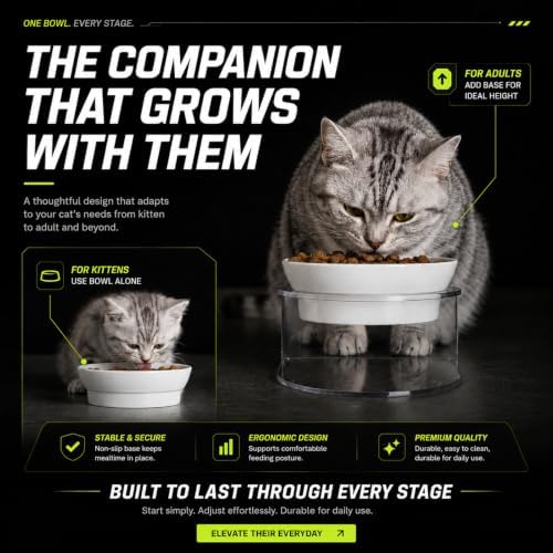 LivLab Mker Elevated Cat Bowls,15° Tilted, 4.5 in High, White, 2 Pack - Image 3