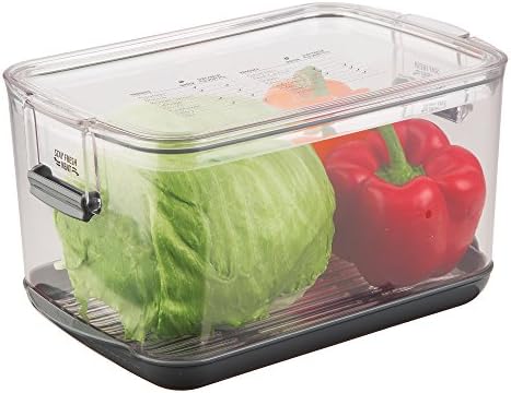 ProKeeper Produce Storage Container with Stay-Fresh Vent System – 5.7 Quarts, Airtight for Fruits & Vegetables by ProgressiveInternational