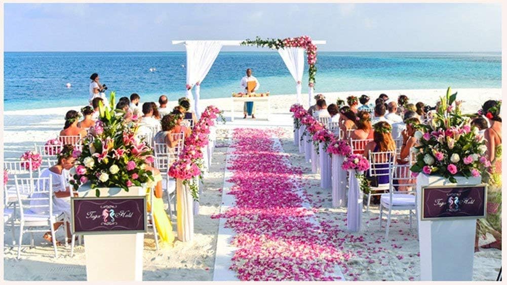 ocharzy 1000pcs Rose Petals Artificial Silk Flower Rose Petals for Wedding Decorations,Romantic Night,Valentine's Day,Parties,Events(Separated, B-Gradient Pink)