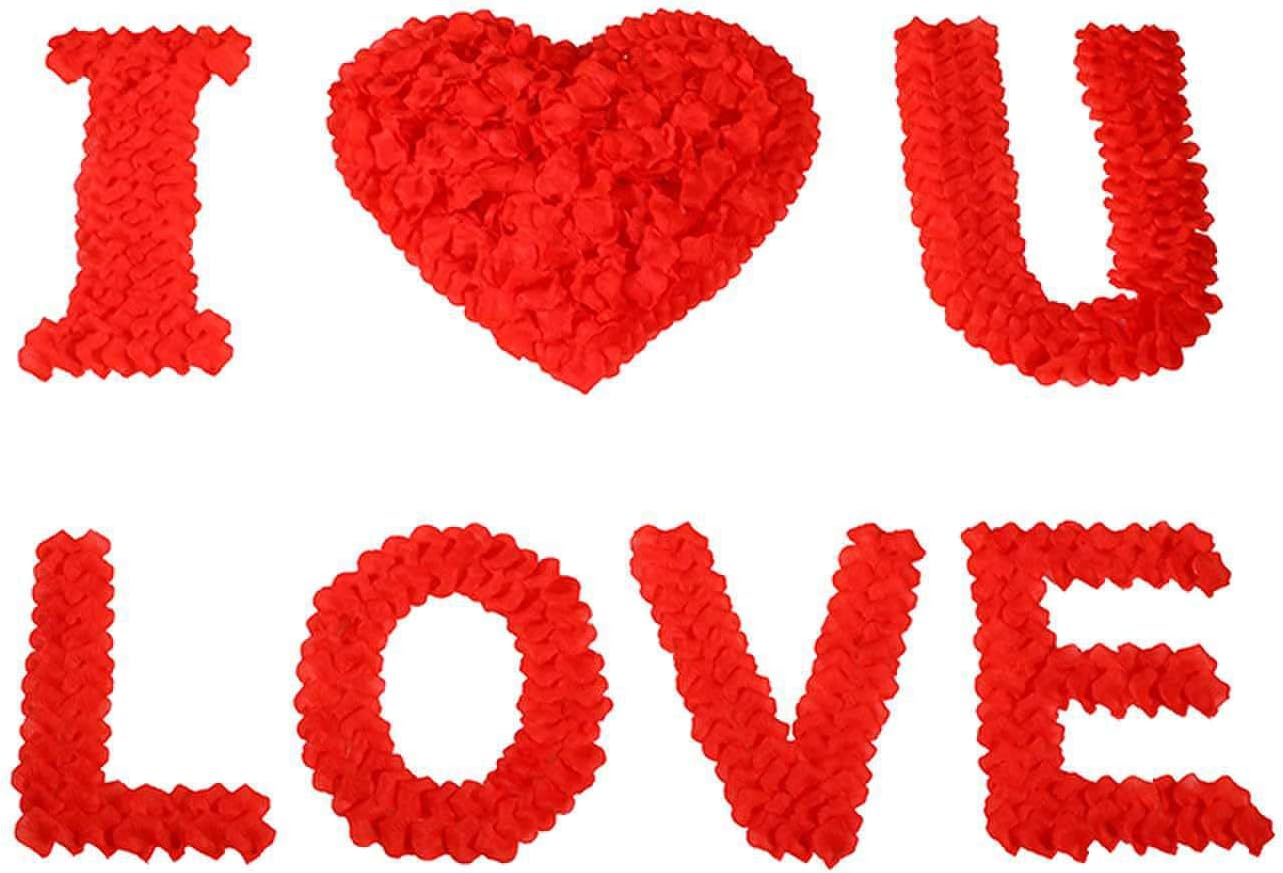 CODE FLORIST 1100 PCS Red Silk Rose Petals for Romantic Night,Wedding,Proposal Anniversary Flower Decorations(Separated,Scented)