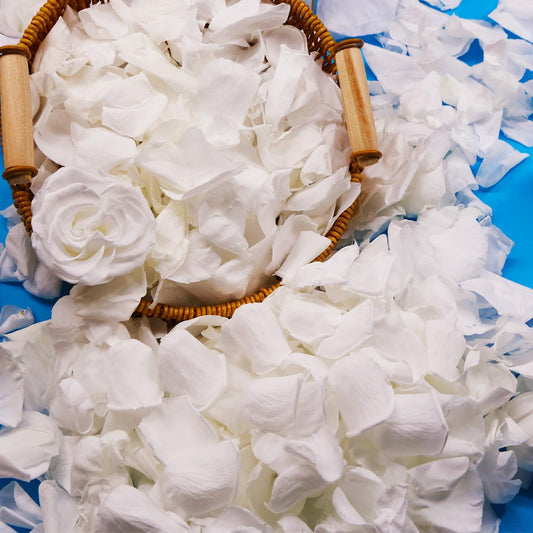 Dried Real White Rose Petals, Freeze Preserved Flower Petals 2.8 oz for Valentine's Day Gifts Wedding Party Decor, Flower Girl, Dinner Table Centerpieces, Bridal Shower, Flower Confetti 80g
