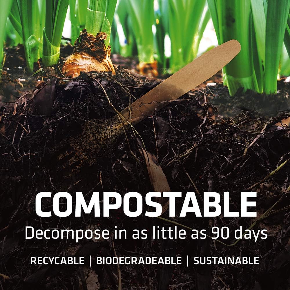 5.5 Inch Wooden Coffee Stirrers, 1000 Count, Disposable & Compostable Wood Coffee Stick Stirrers | Eco-Friendly, Sustainable, Organic, Biodegradable, Vegan-Friendly Coffee Station Supplies