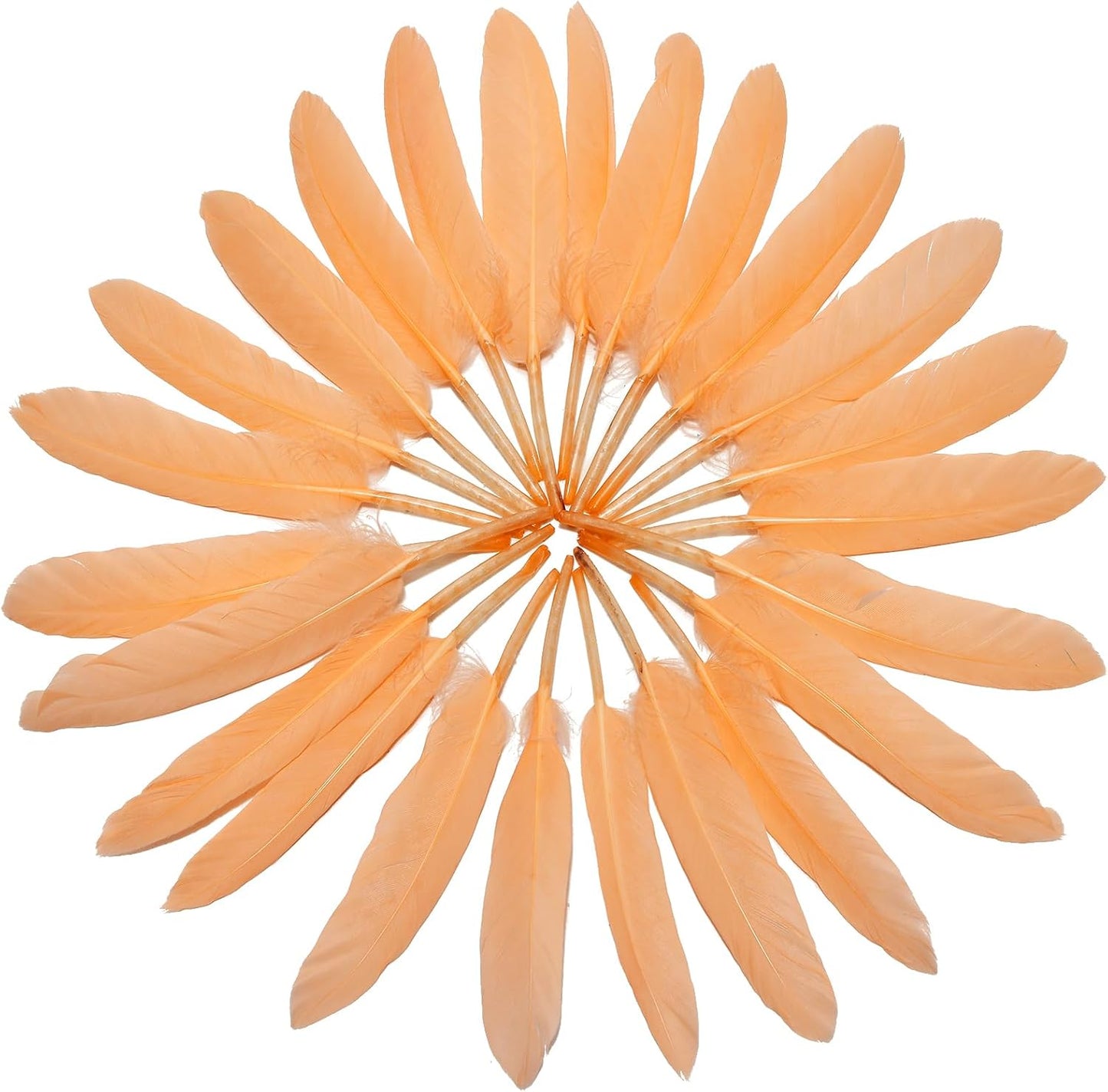 FeelfunFeather 120pcs Champagne Goose Cochettes Feather Natural Bulk 4-6 inch 10-15cm for Wedding Party Christmas Decorations DIY Crafts Goose Cochettes Feather