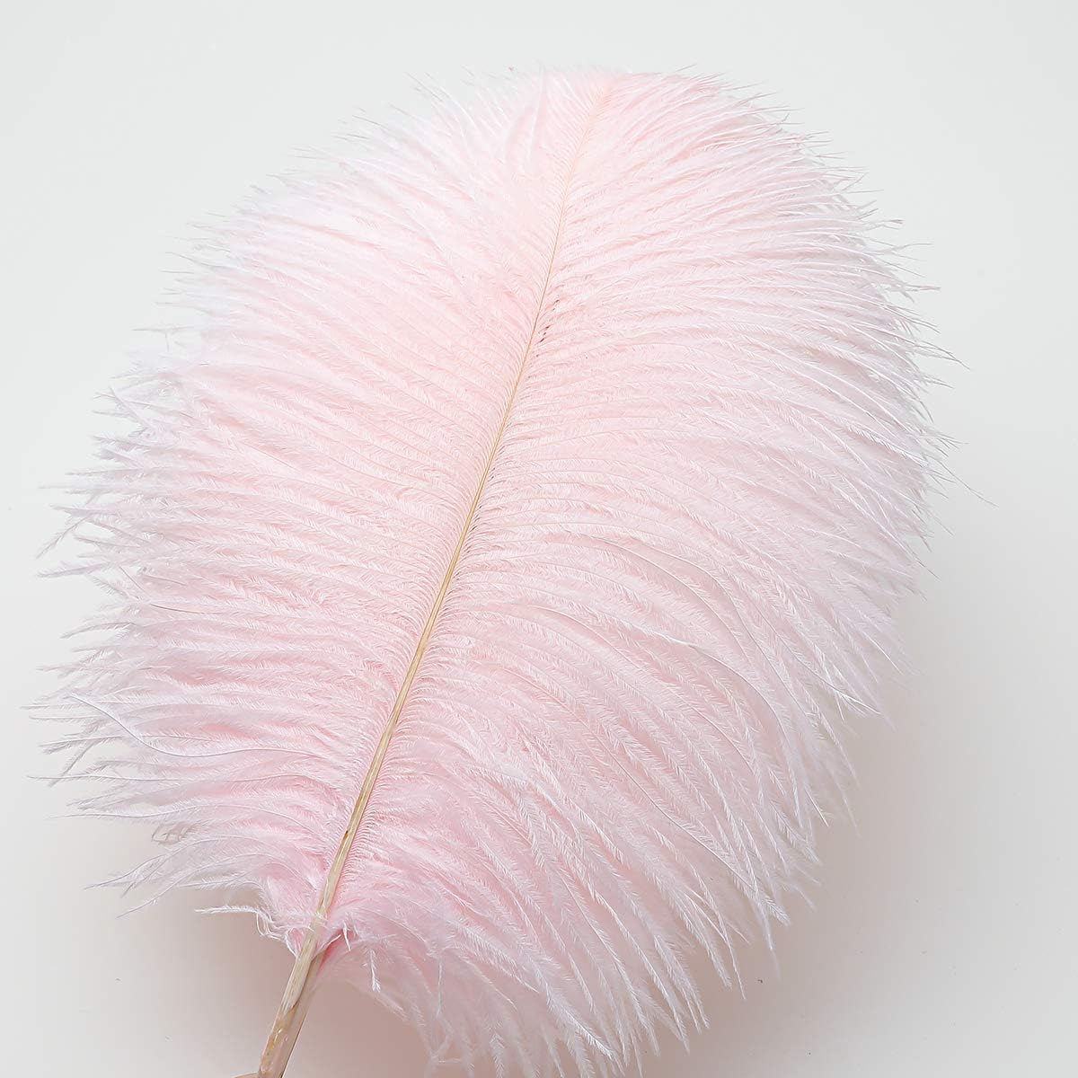 24pcs Natural Light Pink Ostrich Feathers 10-12inch (25-30cm) for Wedding Party Centerpieces，Flower Arrangement and Home Decoration.
