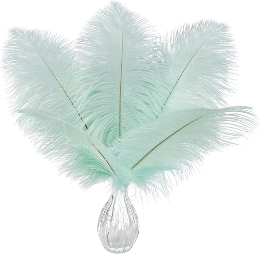 Ballinger Aqua Green Ostrich Feathers - 24pcs 8-10inch Craft Feathers Bulk for Wedding Party Centerpieces Mardi Gras Decorations and Home Decor