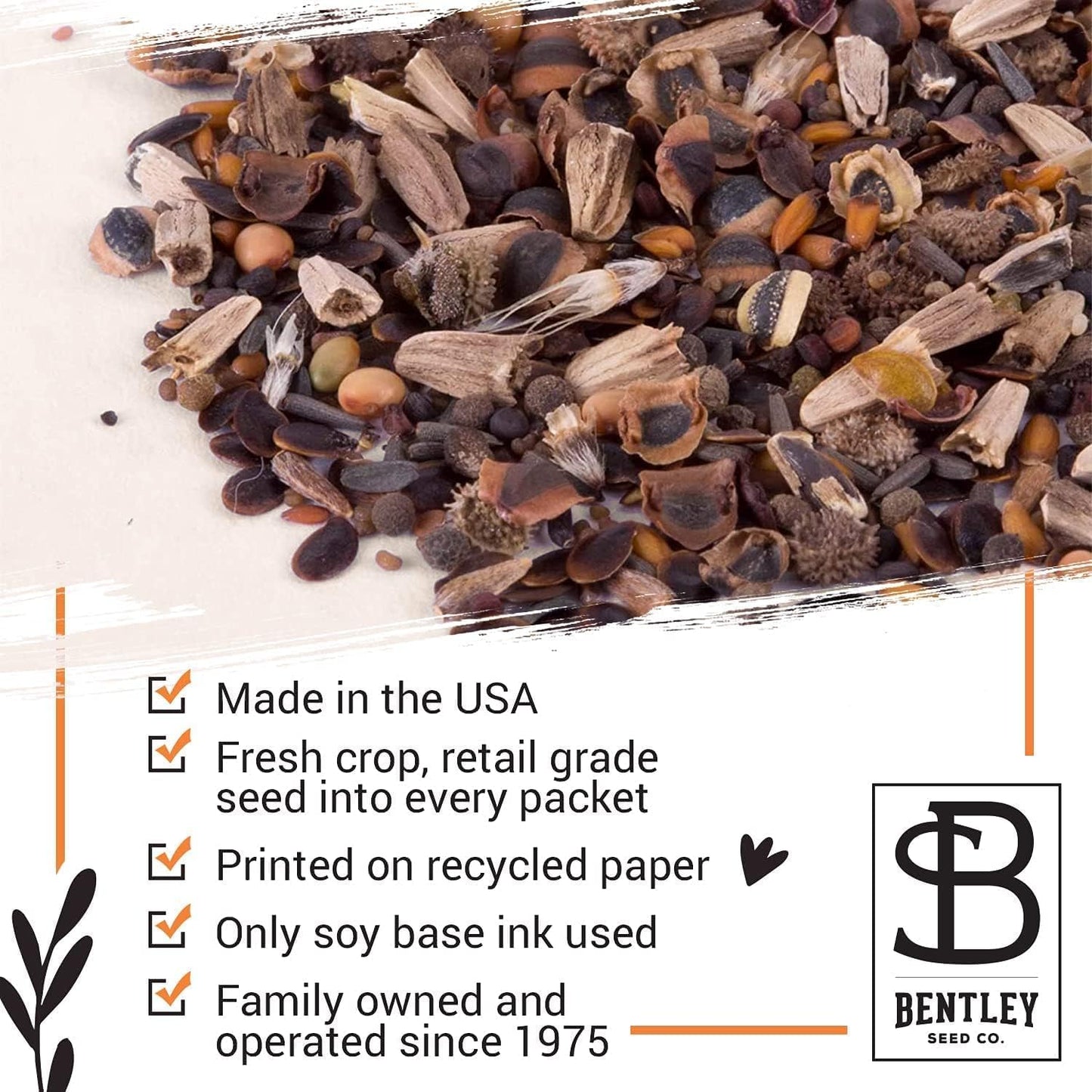 Pride - 25 Wildflower Packets for Planting - Celebrate Love & Show Your Pride - Garden Seeds to Grow Live Plants - Bentley Co.