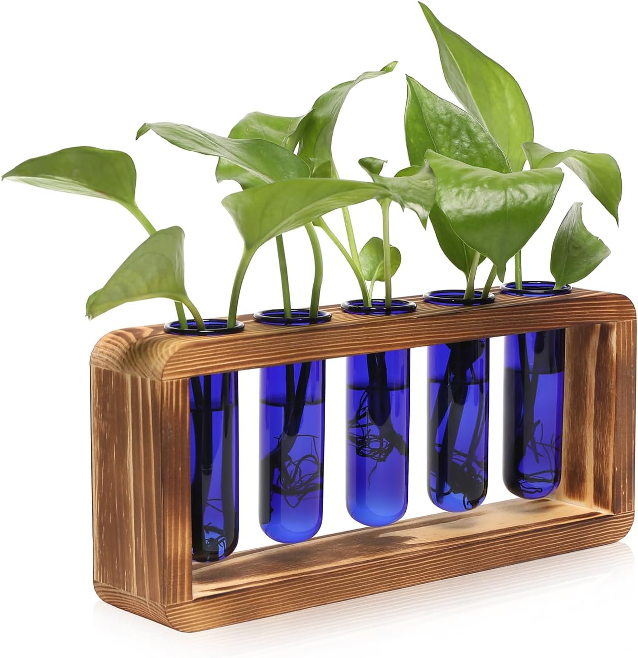 Glass Plant Propagation Station with 5 Test Tubes Colorful Planter Vase Birthday Gifts for Women in Wooden Stand