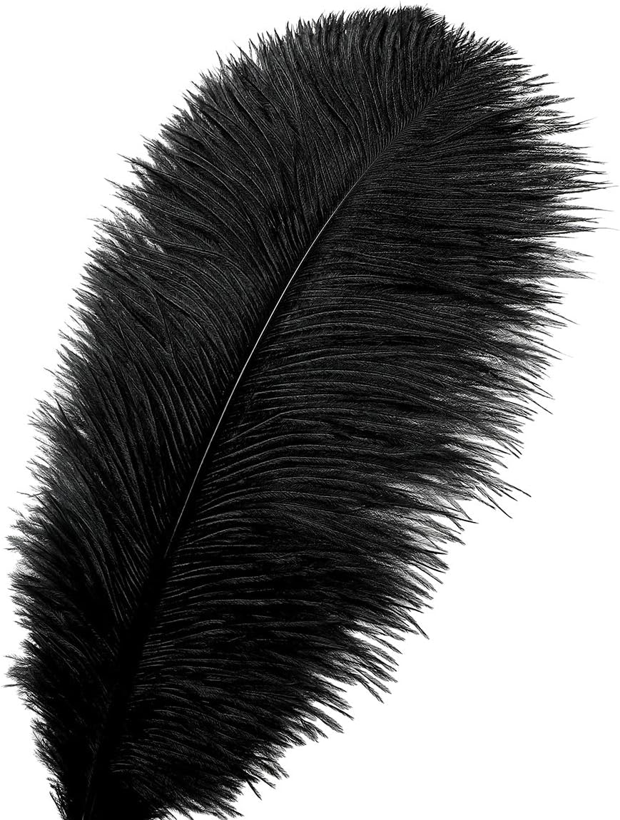 Ballinger Black Large Ostrich Feathers - 12Pcs 14-16inch Large Feathers for Vase, Wedding Party Centerpieces and Halloween Home Decor