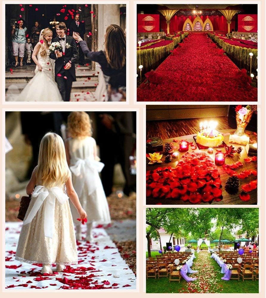 ocharzy 1000 PCS Red Rose Petals, Artificial Silk Flower Rose Petals, Fake Rose Petals for Wedding Decorations, Romantic Night, Valentine's Day, Proposal, Anniversary,Parties, Events
