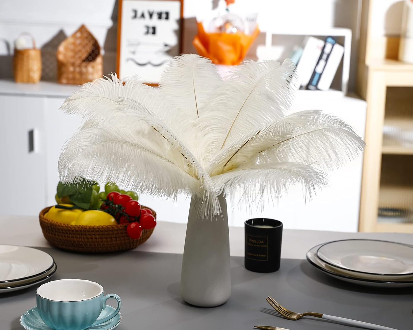 Ballinger Beige Ostrich Feathers Bulk - 24pcs 10-12inch Boho Feathers for vase，Wedding Party Centerpieces and Home Decor