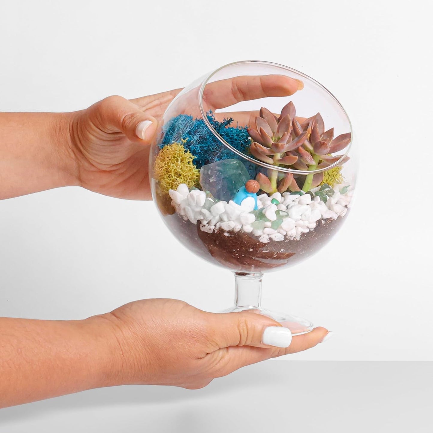 DIY Glass Plant Terrarium Kit for Adults, Metal Stand, Reindeer Moss, Crystals, Rocks, Tools & Figurine – Complete Starter Set