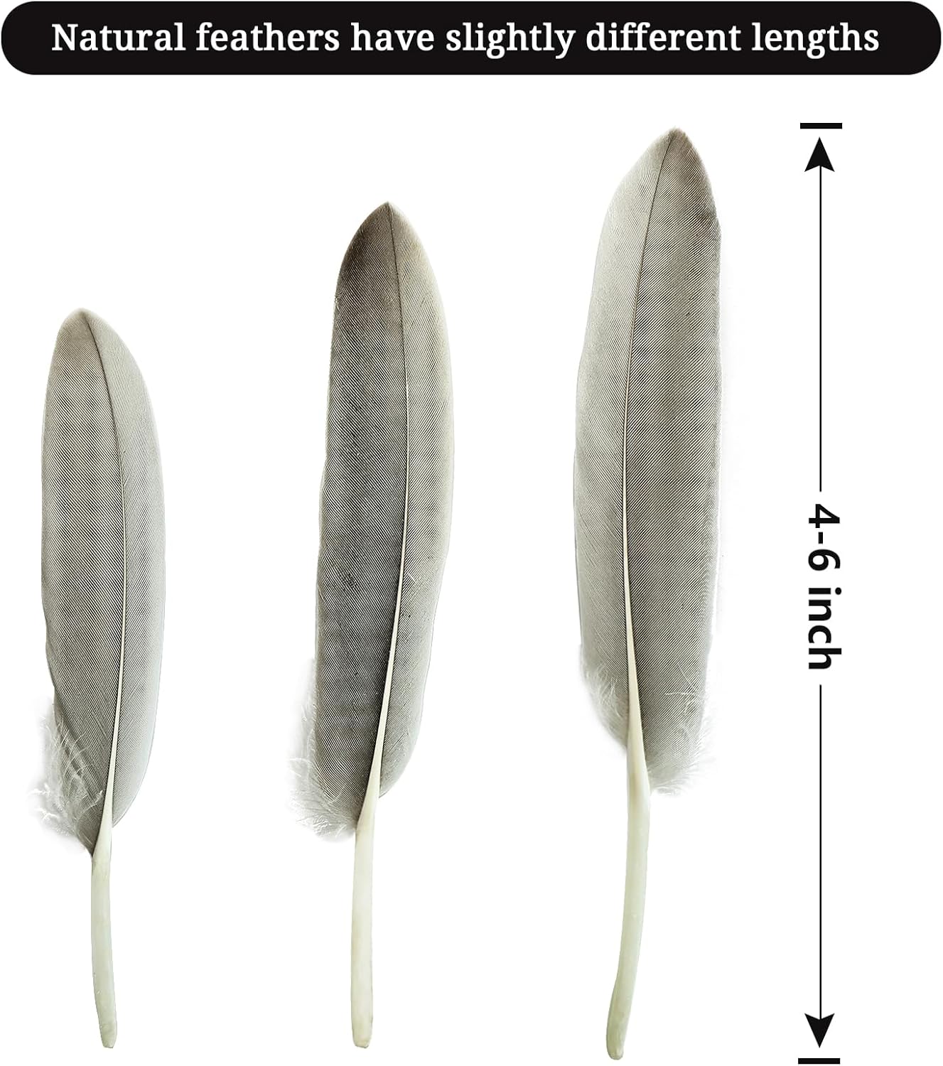 FeelfunFeather 120pcs Natural Gray Goose Cochettes Feathers Bulk 4-6 inches 10-15cm for Wedding Party Christmas Halloween Decorations DIY Crafts