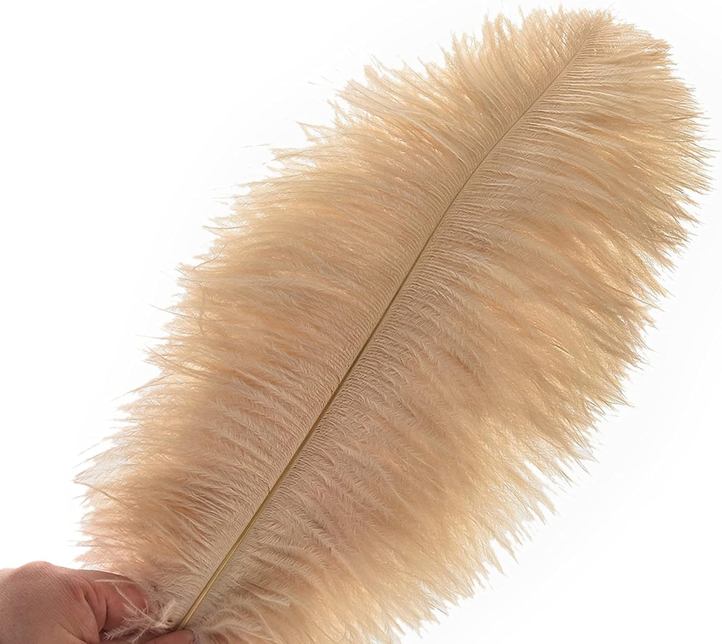 Ballinger Champagne Large Ostrich Feathers - 12Pcs 14-16inch Large Boho Feathers for Vase,Wedding Party Centerpieces and Holiday Home Decor