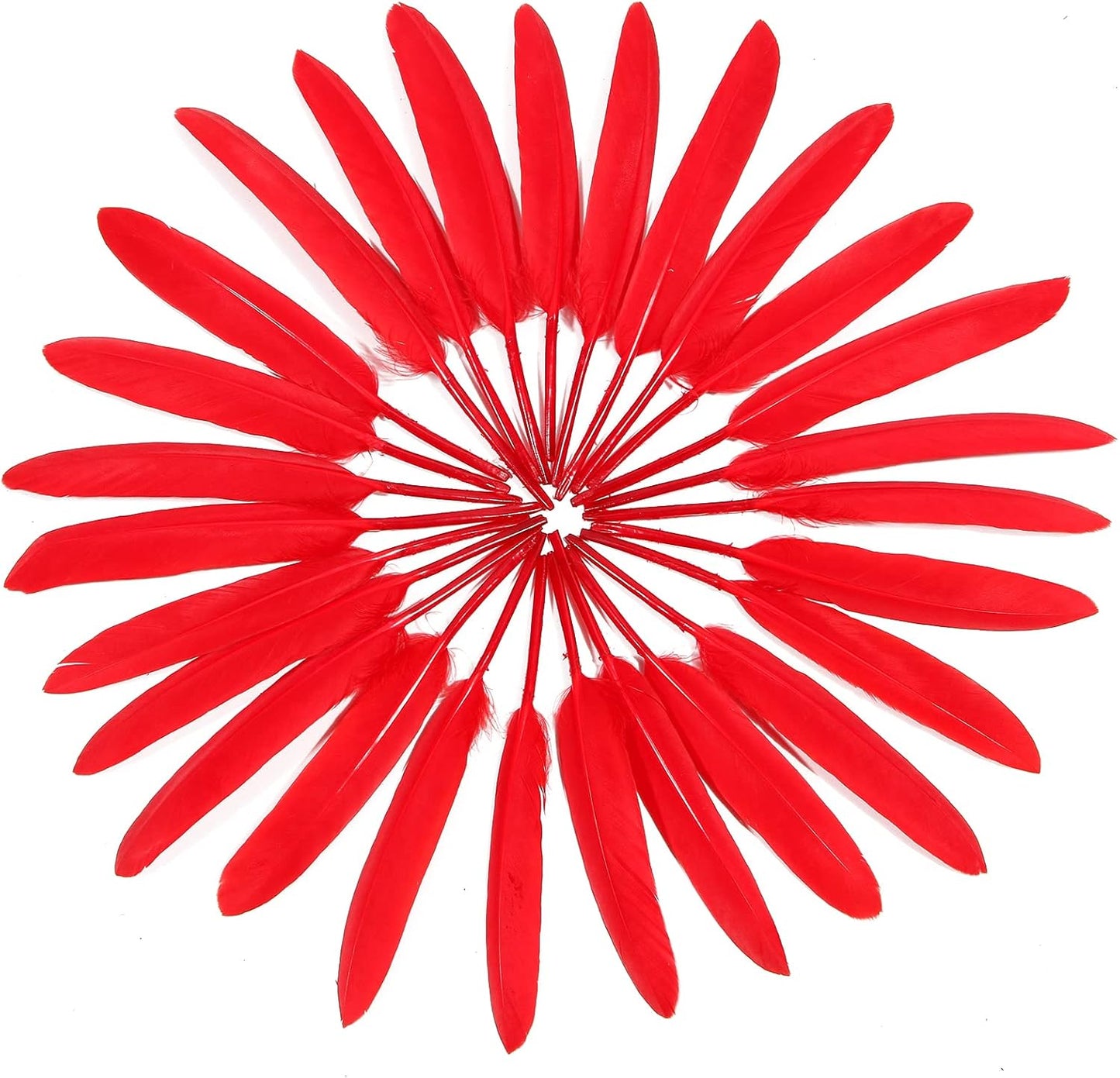 FeelfunFeather 120pcs Red Goose Cochettes Feather Natural Bulk 4-6 inch 10-15cm for Wedding Party Christmas Decorations DIY Crafts Goose Cochettes Feather