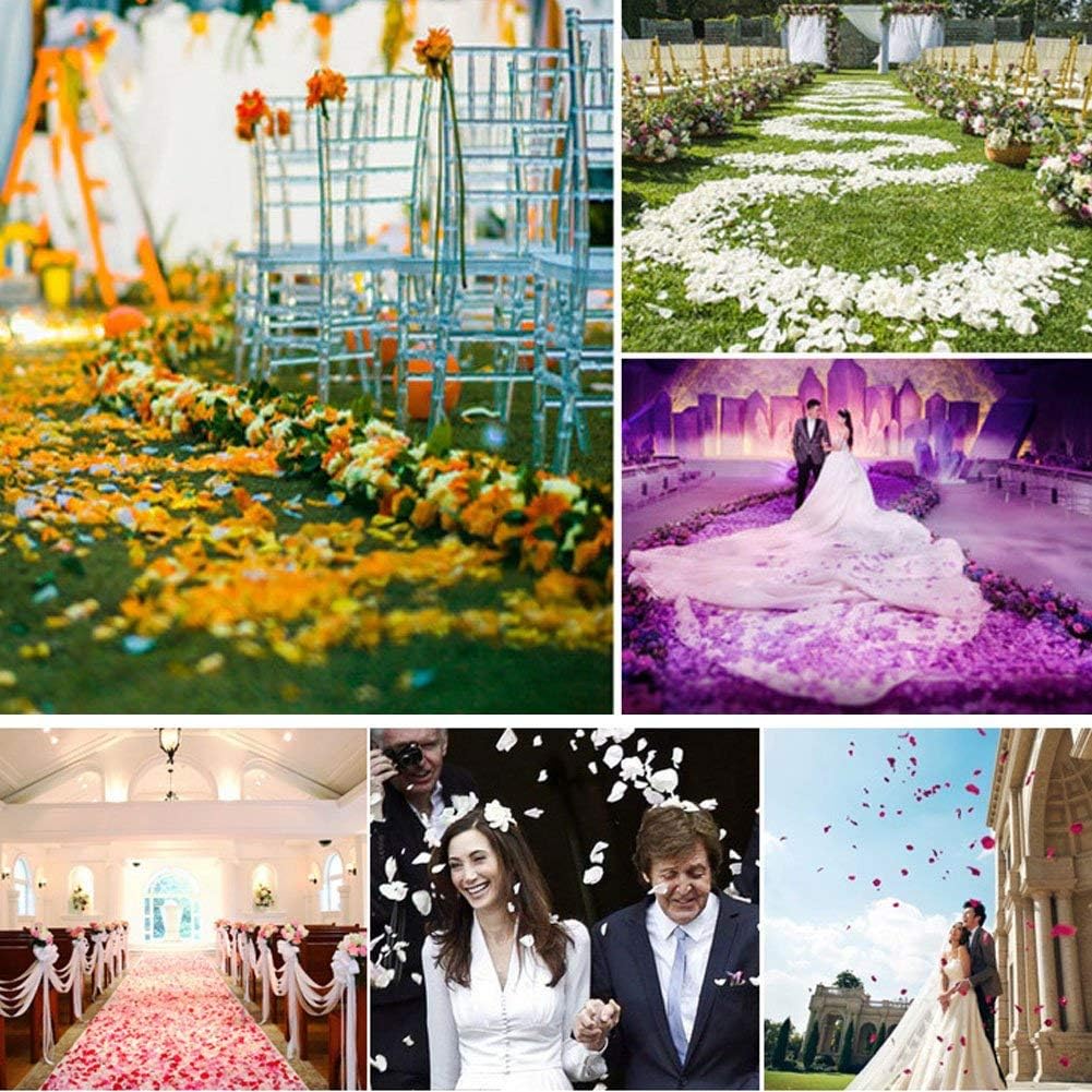 Ocharzy 1000 PCS Silk Flower Rose Petals for Wedding, Romantic Night for Her/Him Set, Artificial Fake Rose Petals for Engagement, Flower Decorations, Valentine's Day, Events, Party Decor