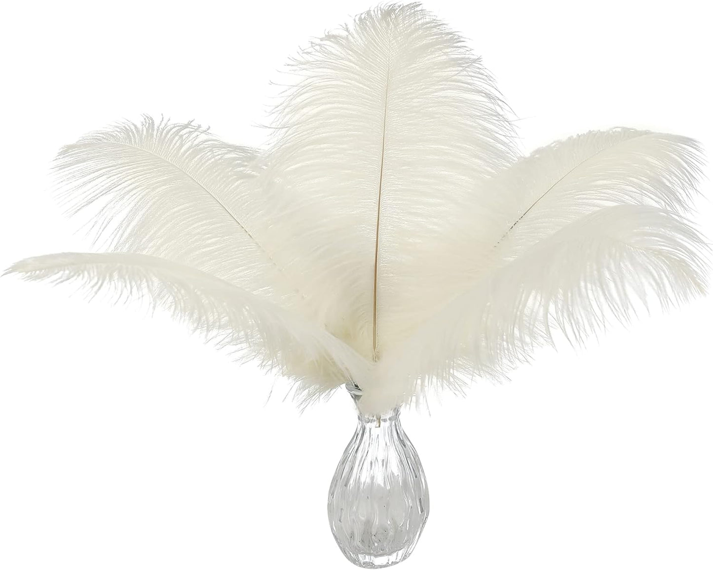 Ballinger Beige Ostrich Feathers Bulk - 24pcs 10-12inch Boho Feathers for vase，Wedding Party Centerpieces and Home Decor