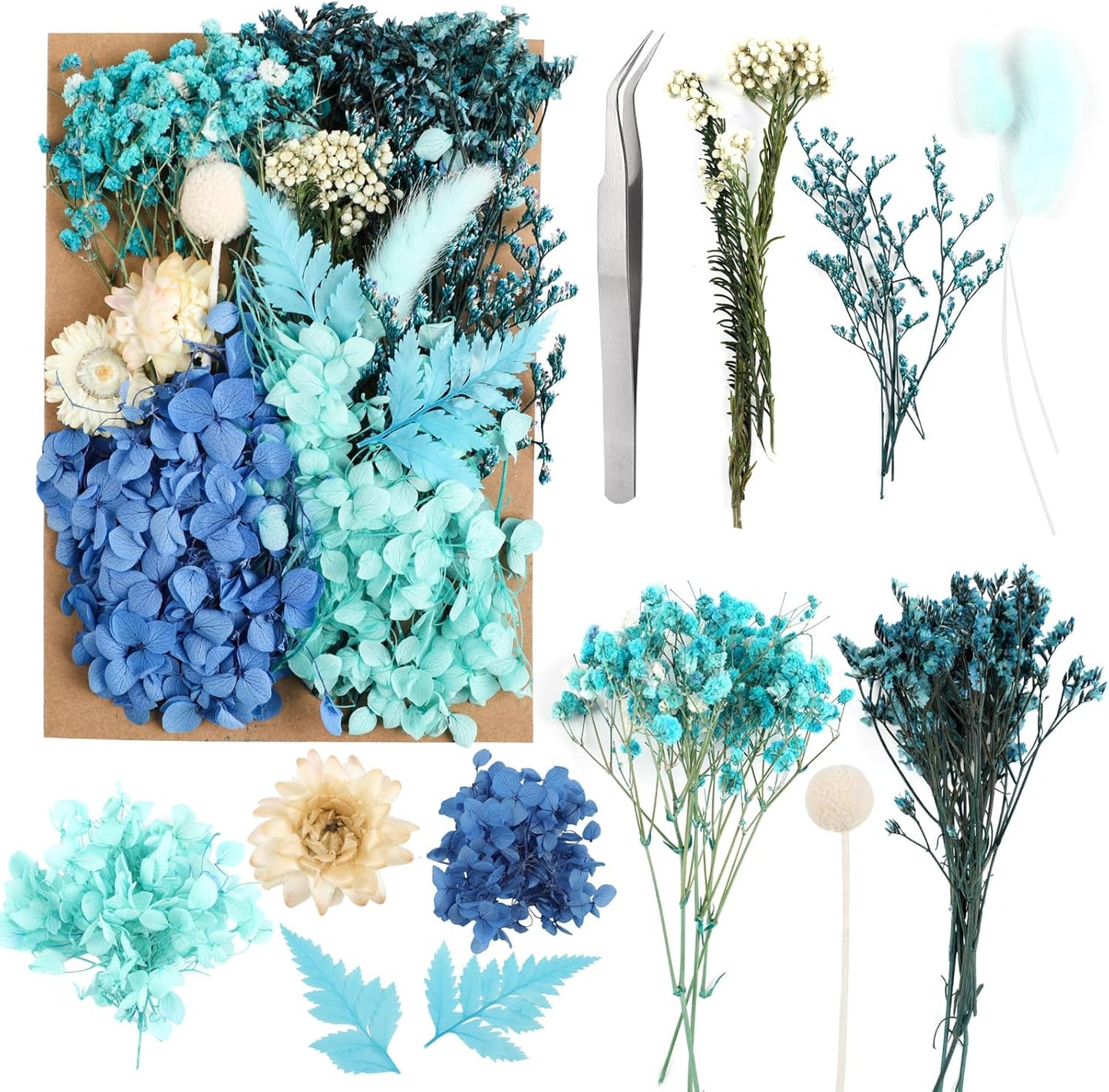 Dried Flowers,Dried Flowers Set for DIY Scrapbook Accessories Flower Arrangements Flower Decoration Wedding Decoration(Blue)
