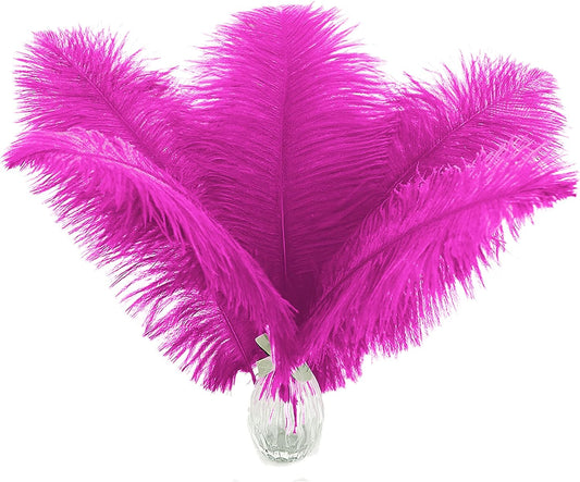 Ballinger Fuchsia Large Ostrich Feathers - 12Pcs 14-16inch Large Feathers for Vase,Theme Party Centerpieces and Holiday Home Decor