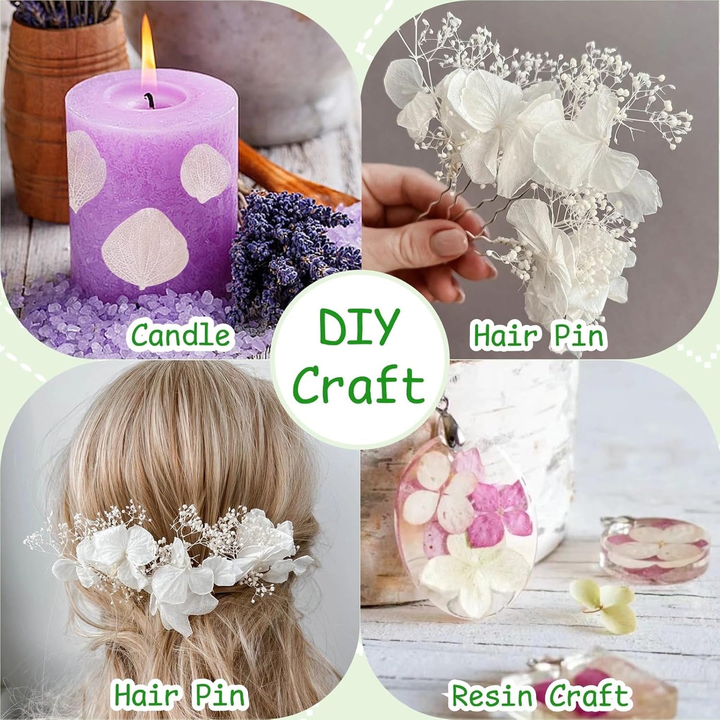 4500Pcs Ivory White Dried Hydrangea Flower Petals - 100% Natural Real Off-White Flower Petals for Wedding Confetti, Flower Girl Basket, Shower Party, DIY Crafts (3.17oz)