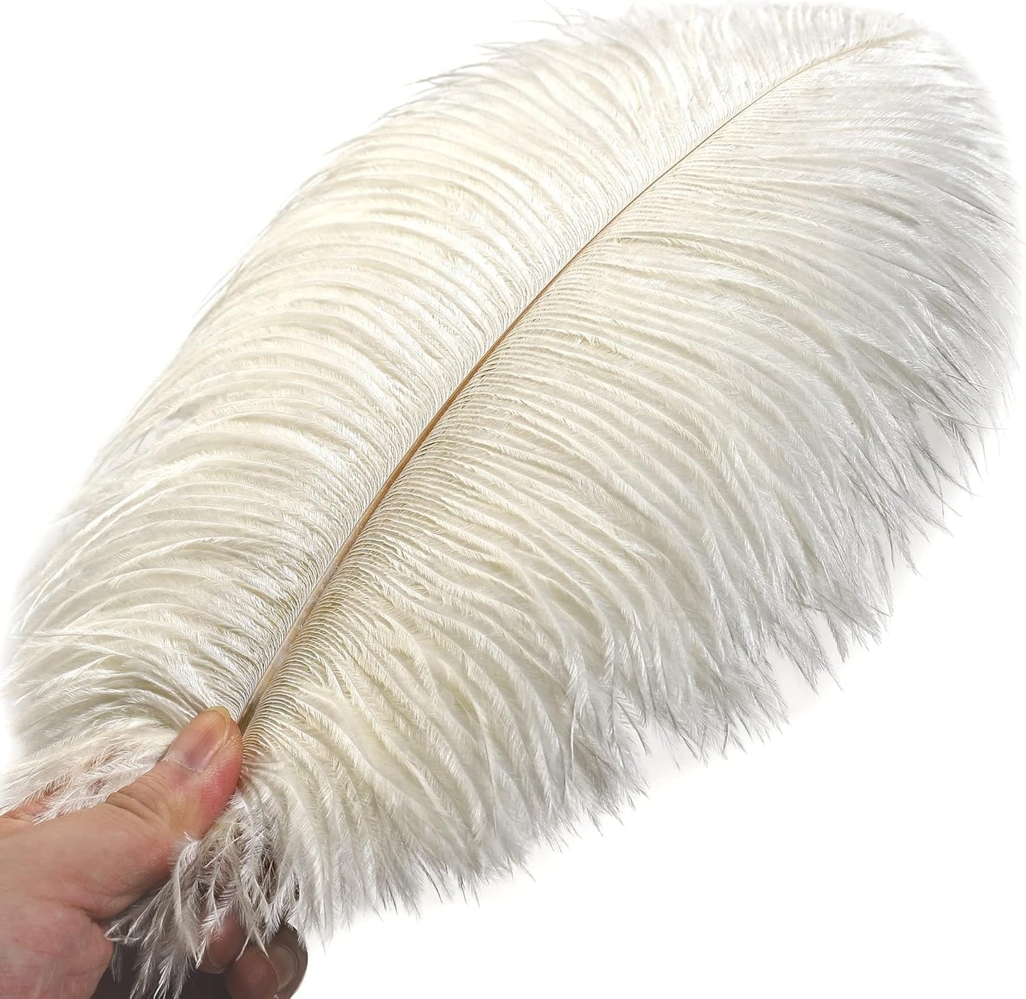 Ballinger Beige Ostrich Feathers Bulk - 24pcs 8-10inch Cream Feathers for Crafts,Wedding Party Centerpieces and Home Decor