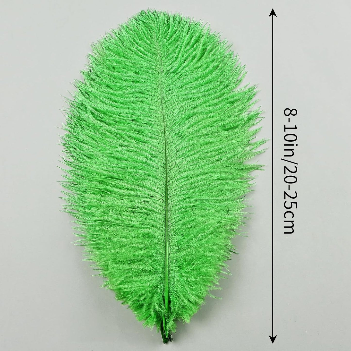 THARAHT Green Ostrich Feathers 12pcs Natural Bulk 8-10Inch 20cm-25cm for Crafts Wedding Party Centerpieces Mardi Gras and Home Decoration Feathers
