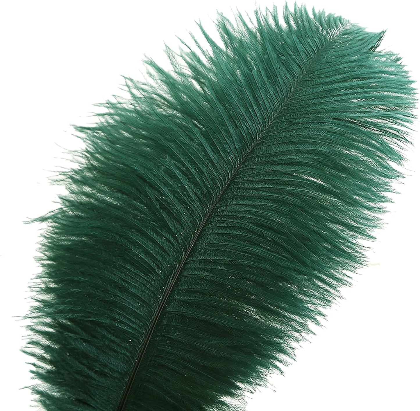Ballinger Blackish Green Ostrich Feathers Bulk- 24pcs 10-12inch for Wedding Party Centerpieces Christmas Decor