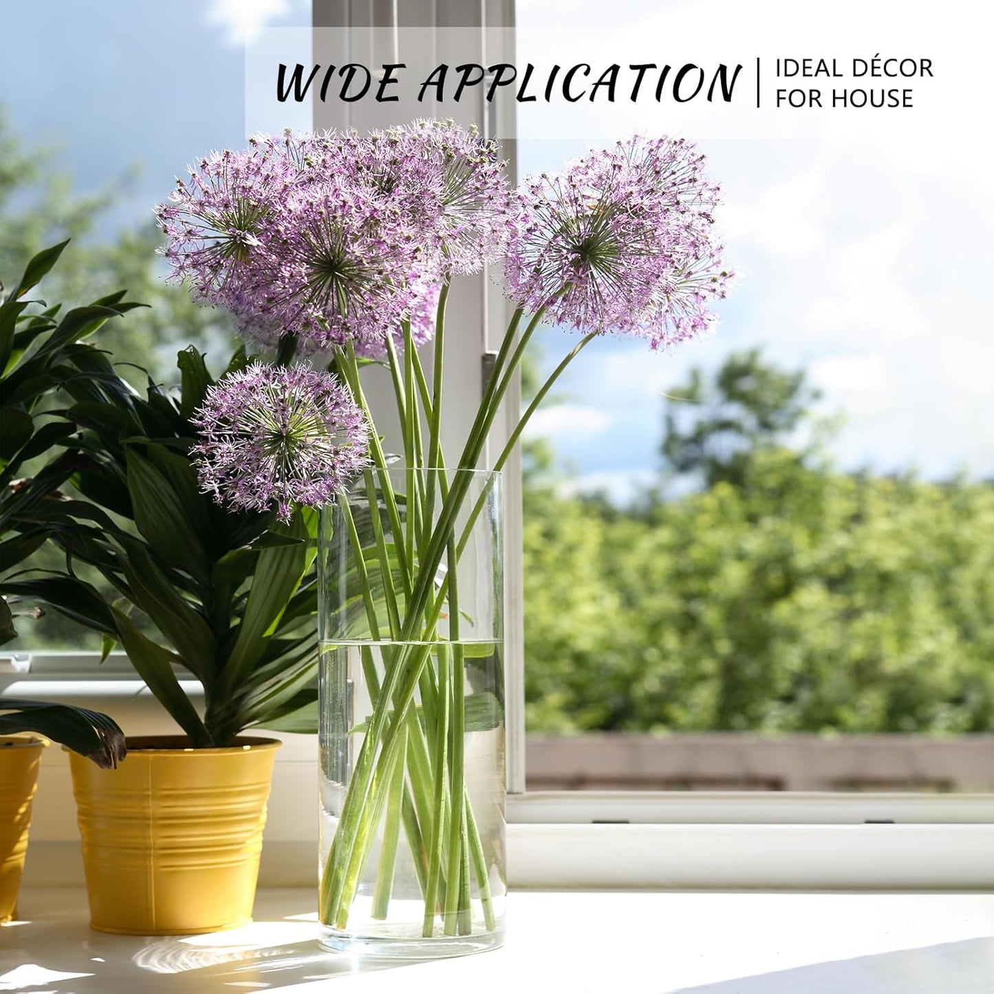 7Pcs Glass Cylinder Vase for Centerpieces Clear Glass Flower Vases Bulk, Glass Hurricane Candle Holder Tall 8 Inch Floral Vases for Table, Floating Candle Vases for Wedding Home Décor