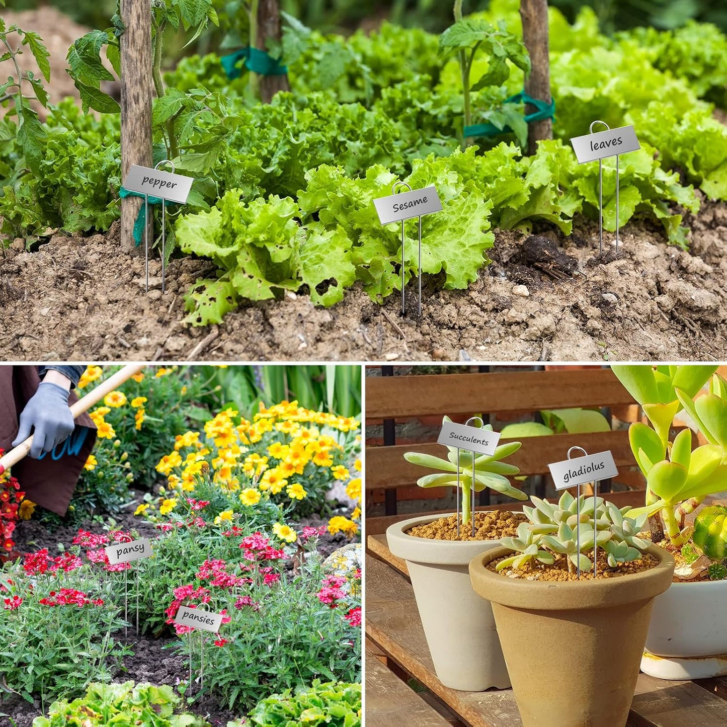 50-Pack Metal Plant Labels Weatherproof Garden Markers,Height 10.6'', Label Area 3.5''X 1.2'' Reusable Nursery Tags for Vegetables Herb Flower Seed Greenhouse - Zinc